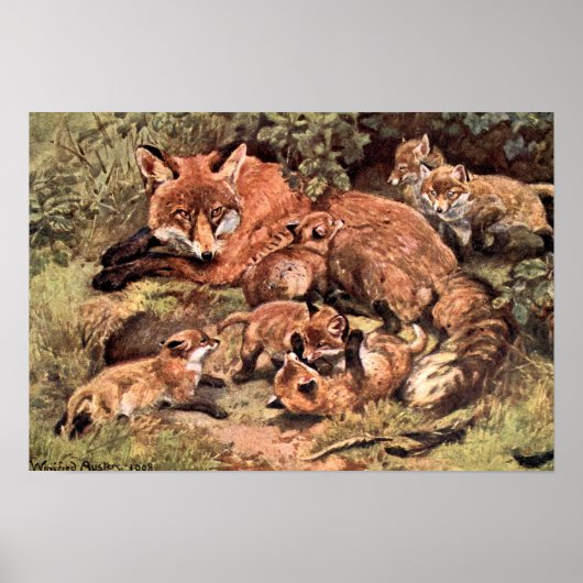Poster Vixen renard avec des oursons par Austen, animal s (Devant)