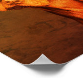 Poster Vizsla (Coin)