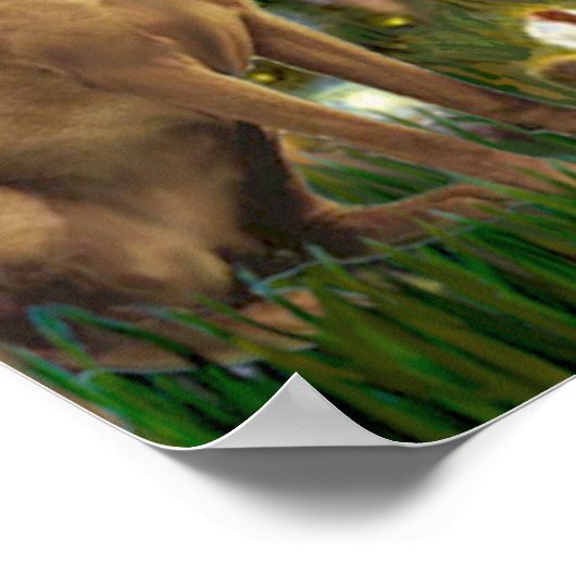 Poster Vizsla 1 - MidEve (Coin)