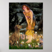 Poster Vizsla 1 - MidEve (Devant)