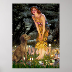 Poster Vizsla 1 - MidEve