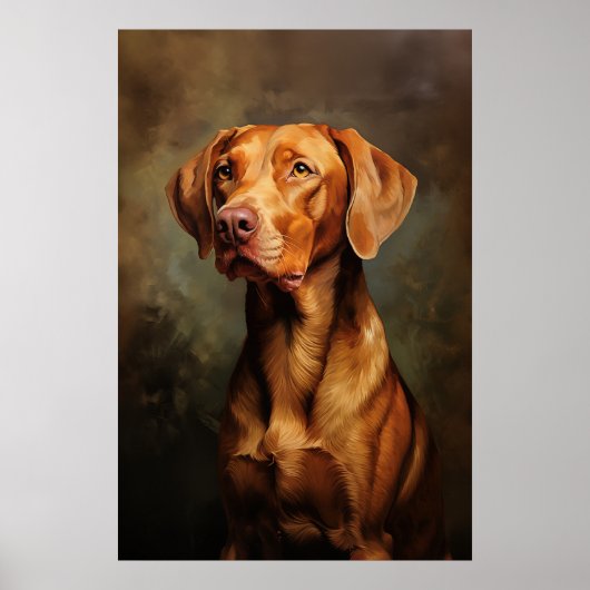 Poster Vizsla hongroise (Devant)