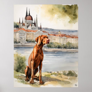 Poster Vizsla hongroise - Art Chien Imprimer