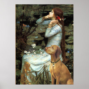 Poster Vizsla - Ophelia assis