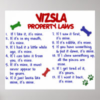 VIZSLA PL2