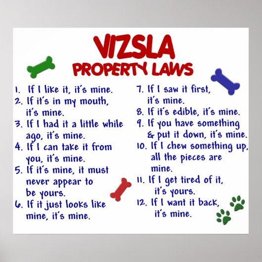 POSTER VIZSLA PL2 (Devant)