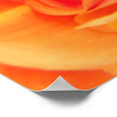 Poster-Vloer/Ladybug Poster (Hoek)