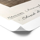 Poster "Vocal Memnon", statue de Colossal d'Amenhotep I (Coin)