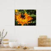 Poster - Voeding in Calendula (Keuken)