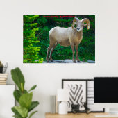 Poster voeux de Noël Ma chèvre miel (Bureau à domicile)