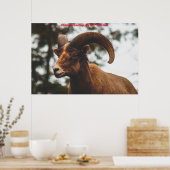 Poster voeux de Noël Ma chèvre miel (Cuisine)