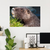 Poster Vœux de Noël Mon petit castor (Bureau à domicile)