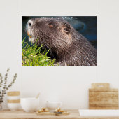 Poster Vœux de Noël Mon petit castor (Cuisine)