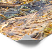 Poster voeux de Noël Mon vieux garçon (Coin)