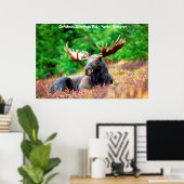 Poster Vœux de Noël Papa Chasseur-Cueilleur (Bureau à domicile)