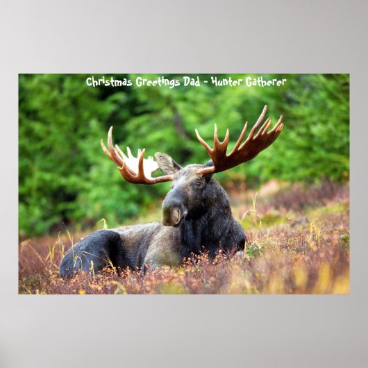Poster Vœux de Noël Papa Chasseur-Cueilleur (Devant)
