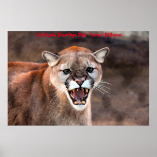 Poster Vœux de Noël Papa Chasseur-Cueilleur