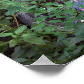 Poster Voeux sombres (Coin)