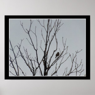 Poster Vogel in een Kale Boom