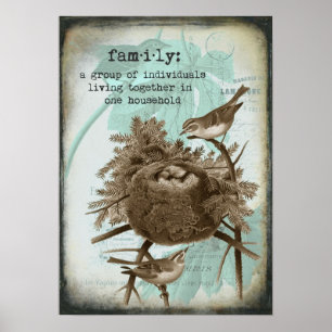 Poster  vogelfamilie