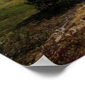 Poster Vogelsang Valley - Yosemite (Coin)