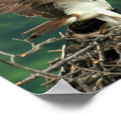 Poster Voici comment ces choses fonctionnent (Coin)