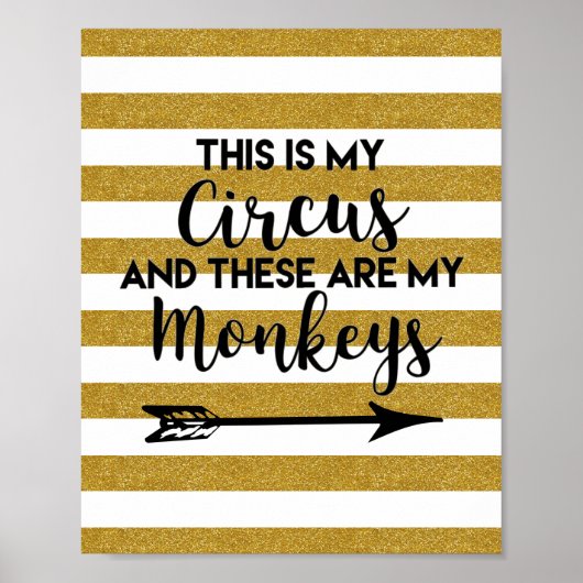 Poster Voici l'affiche de My Circus (Devant)