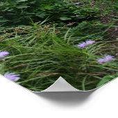 Poster Voici l'apiculture (Coin)