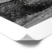 Poster "Voici Toto ! !" (Coin)