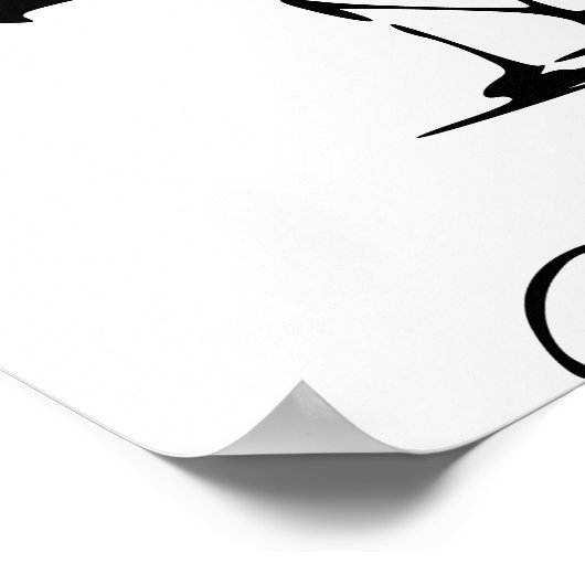 POSTER VOID NOIR (Coin)