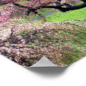Poster Voie Cherry Blossom (Coin)