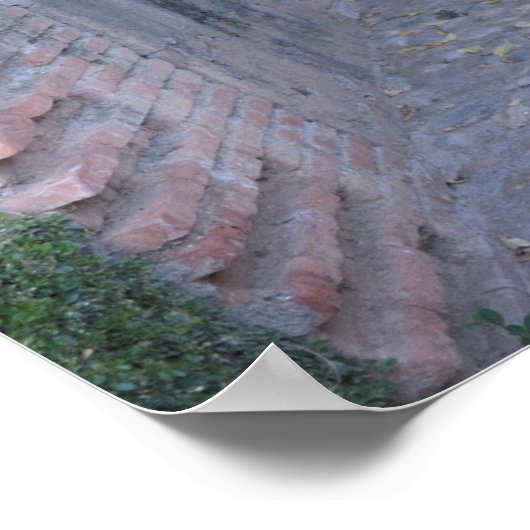 Poster Voie couverte de feuillage, Espagne (Coin)