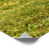 Poster Voie de circulation et pistes (Coin)