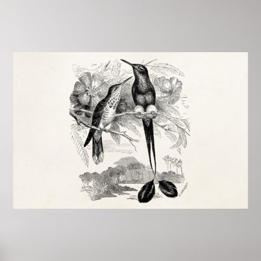 Poster Voie de raquette vintage des années 1800 (Devant)