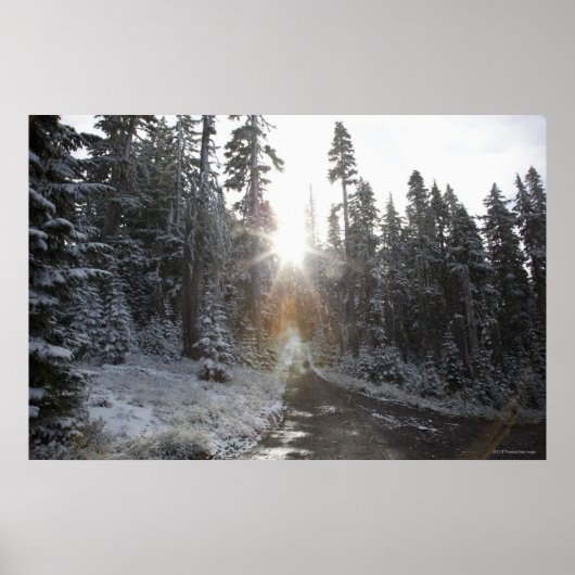 Poster Voie de terre neigeuse qui pénètre au soleil (Devant)