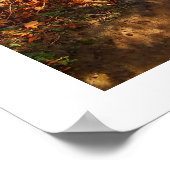 Poster Voie Jersey en automne (Coin)