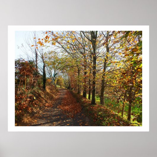 Poster Voie Jersey en automne (Devant)