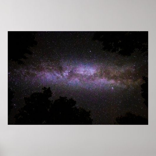 Poster Voie lactée avec silhouette arborée (Devant)