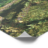 Poster Voie Pays (Coin)