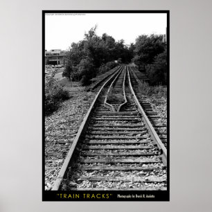 Poster Voies de train