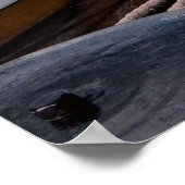 Poster Voilier (Coin)