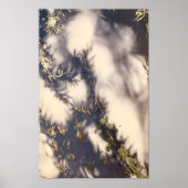 Poster Voir au-dessus de l'arbre (Devant)