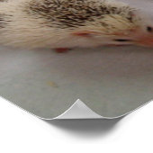 Poster Voir des spots ? (Coin)