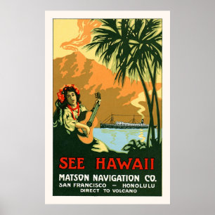 Poster Voir l'affiche de voyage Hawaii