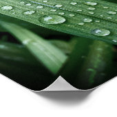 Poster Voir les gouttes de pluie sur l'affiche mat de la  (Coin)