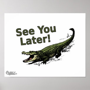 Poster Voir plus tard Alligator