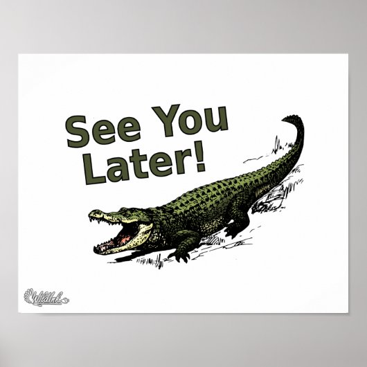 Poster Voir plus tard Alligator (Devant)