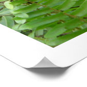 Poster Voisins Nosy en Kalimantan Indonésie (Coin)