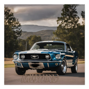 POSTER VOITURE