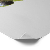 Poster Voiture à muscles Pontiac GTO 1967 (Coin)